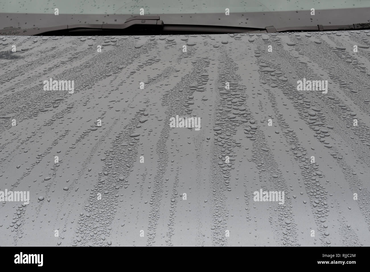Grau Karosserie mit Regenwasser Tröpfchen. Stockfoto