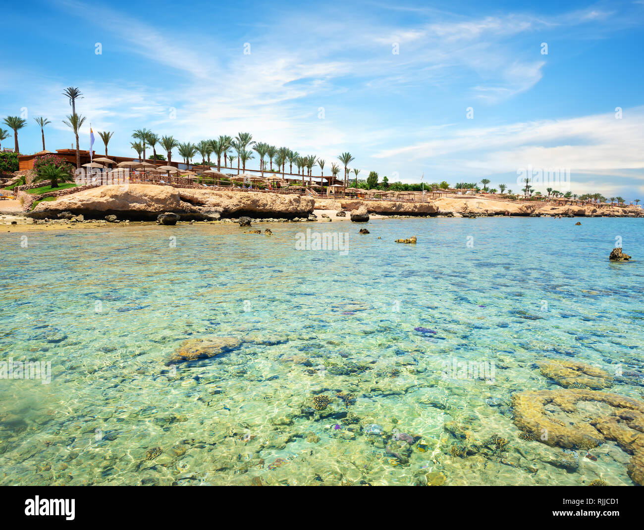 Korallenriffe am Strand in der Nähe von hotel Stockfoto