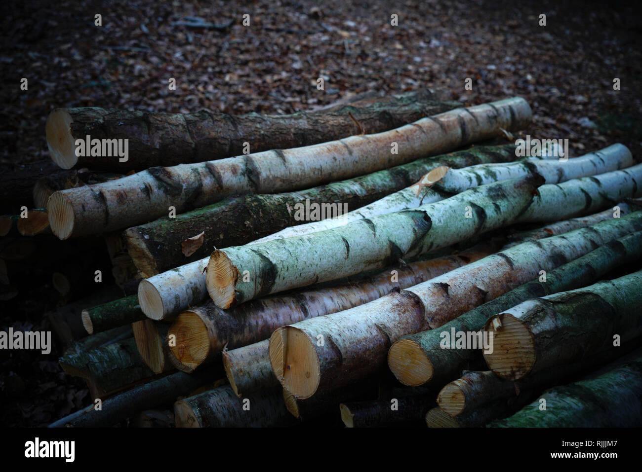 Längen von Holz in einem Haufen gestapelt. Stockfoto