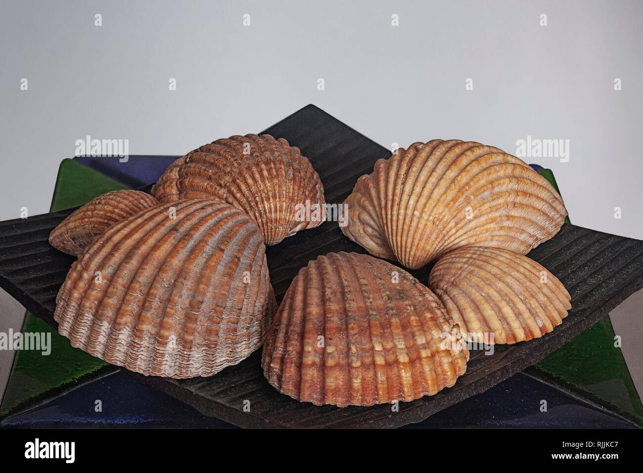 Seashells Ornament auf einem Schild auf einen Aschenbecher auf dem Tisch Stockfoto