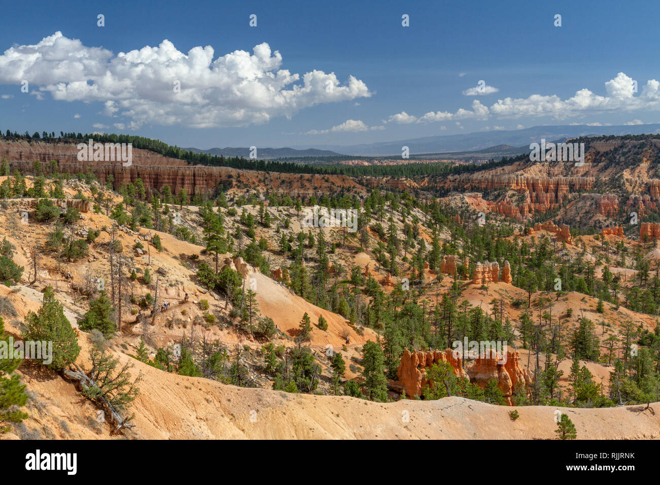 Blick auf die Chinesische Mauer (ca. Norden) von Sunrise Aussichtspunkt mit Pferd, Reiter, Bryce Canyon National Park, Utah, United States. Stockfoto