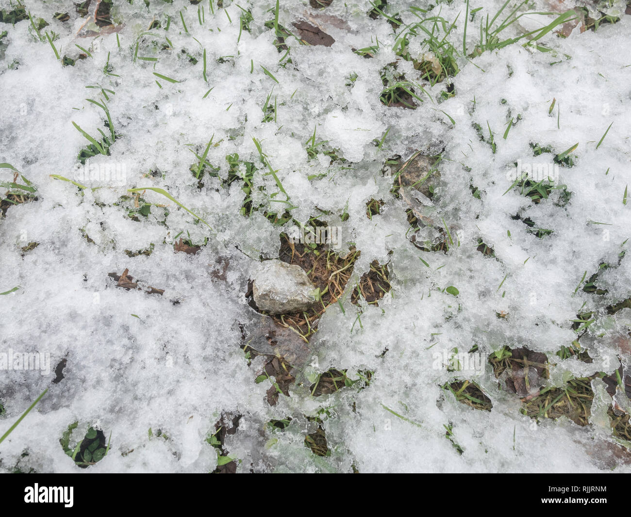 Auftauen von Schnee auf Gras im 2019. Stockfoto
