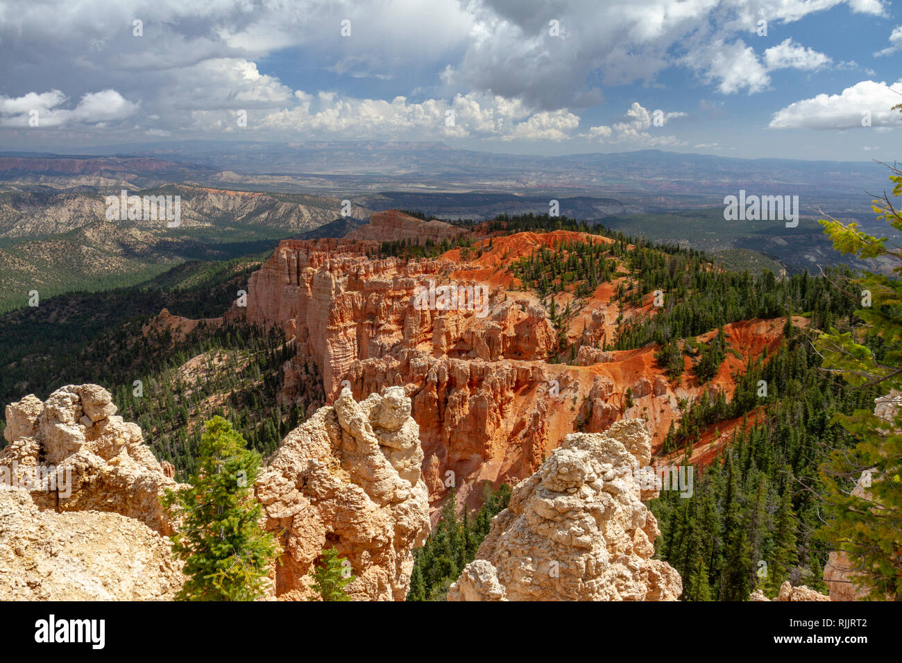 Rainbow Point Sicht nach Osten, Bryce Canyon National Park, Utah, United States. Stockfoto