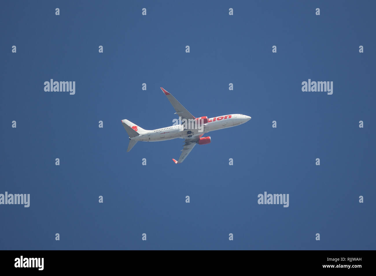 Chiangmai, Thailand - 4. Februar 2019: HS-LUK Boeing 737-800 der Thai Lion Air Airline. Von Chiangmai Flughafen in Bangkok. Stockfoto