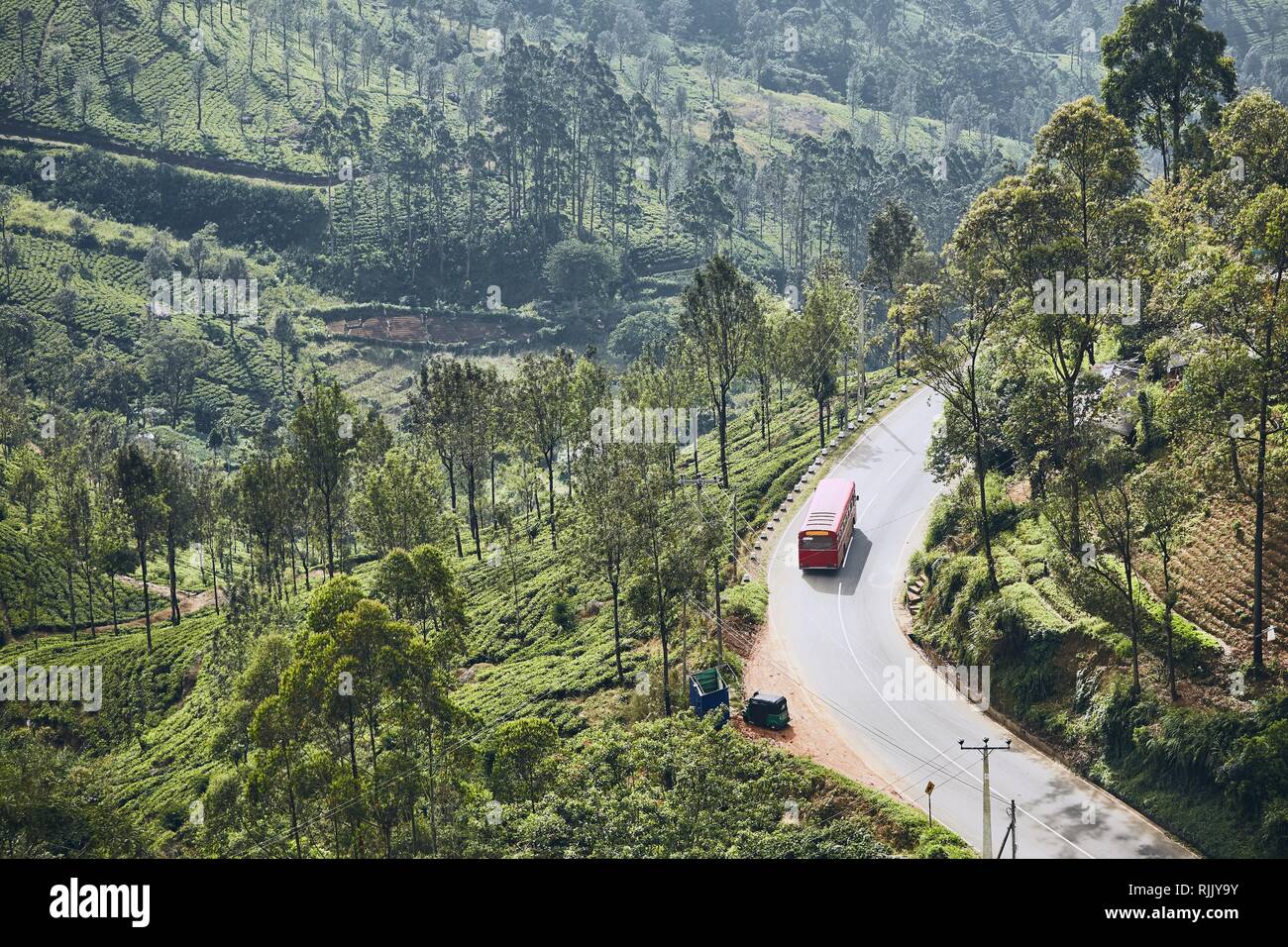 Bus auf der Straße durch die Teeplantagen. Haputale, Sri Lanka Stockfoto