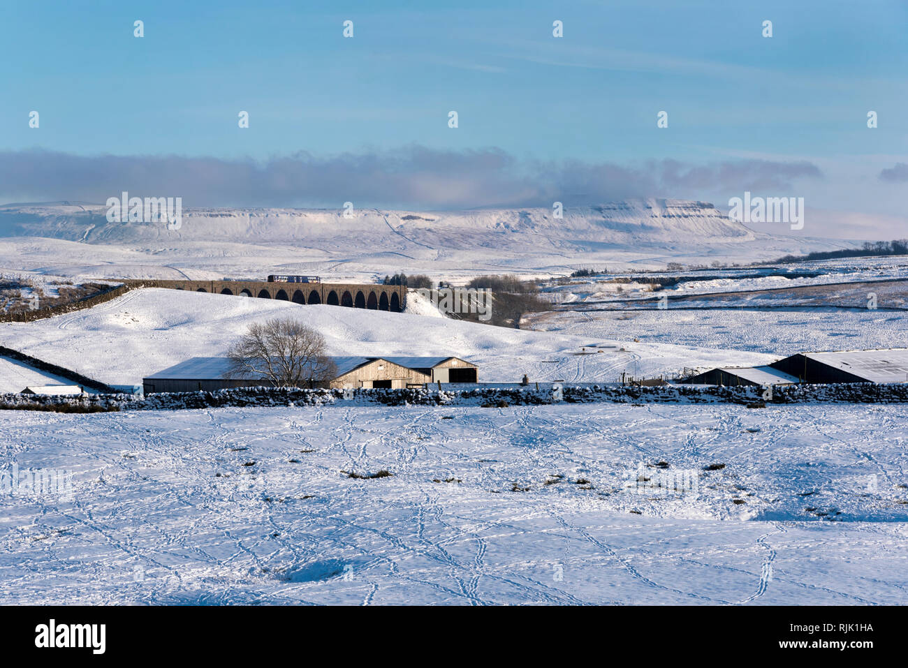 Ein Sprinter Personenzug überquert Ribblehead Viadukt im Winter. Pen-y-Ghent Peak ist am Horizont gesehen. Stockfoto