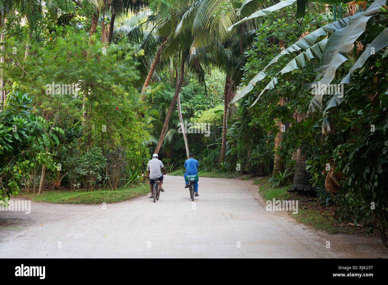 Zwei lokale Leute radfahren entlang einer Straße, Rasdhoo Atoll, Malediven, Asien Stockfoto