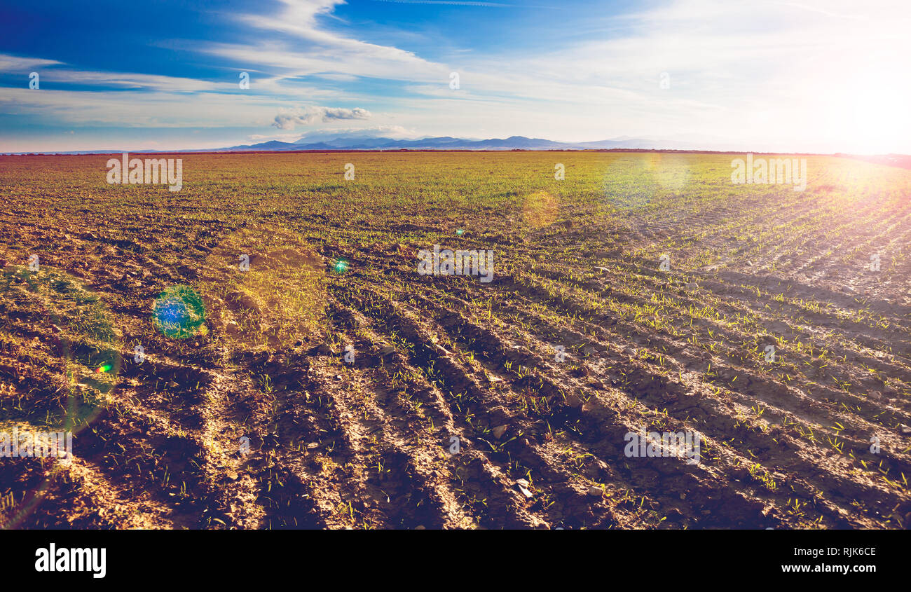 Landwirtschaft und Landwirtschaft.Landschaft und Umwelt.gepflügte Felder Sonnenuntergang Landschaft Stockfoto