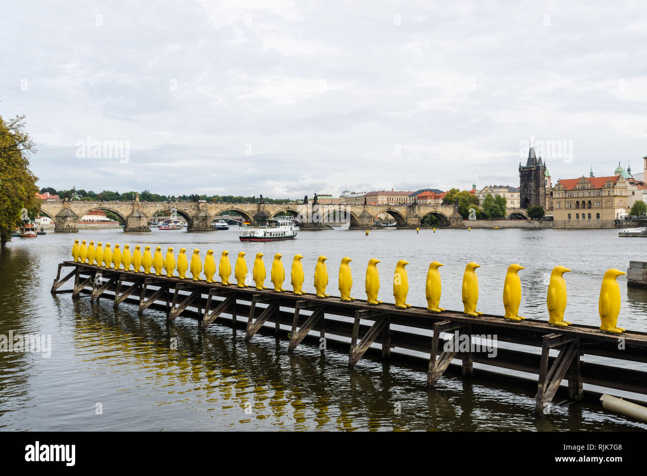 Gelbe Pinguine kunst Installation durch Rissbildung Kunst entlang der Moldau, Prag, Tschechische Republik Stockfoto