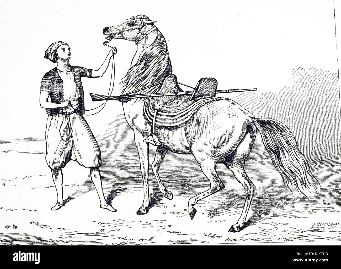 Kupferstich von Greenaway, Darstellung von einem arabischen Hengst durch eine Arabische Reiter ausgebildet werden. Vom 19. Jahrhundert Stockfoto