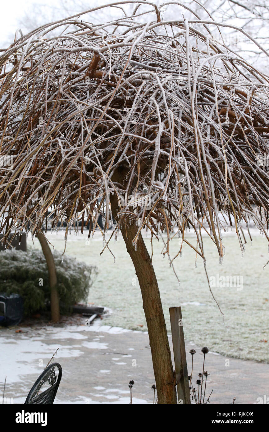 London, Ontario, Kanada. 6. Februar, 2019. Schulen wurden geschlossen und Verkehr wurde verzögert, da die Temperaturen von -5 und Regen im Südwesten von Ontario in Eisbahn und drehte sich um. Credit: Lukas Durda/Alamy leben Nachrichten Stockfoto