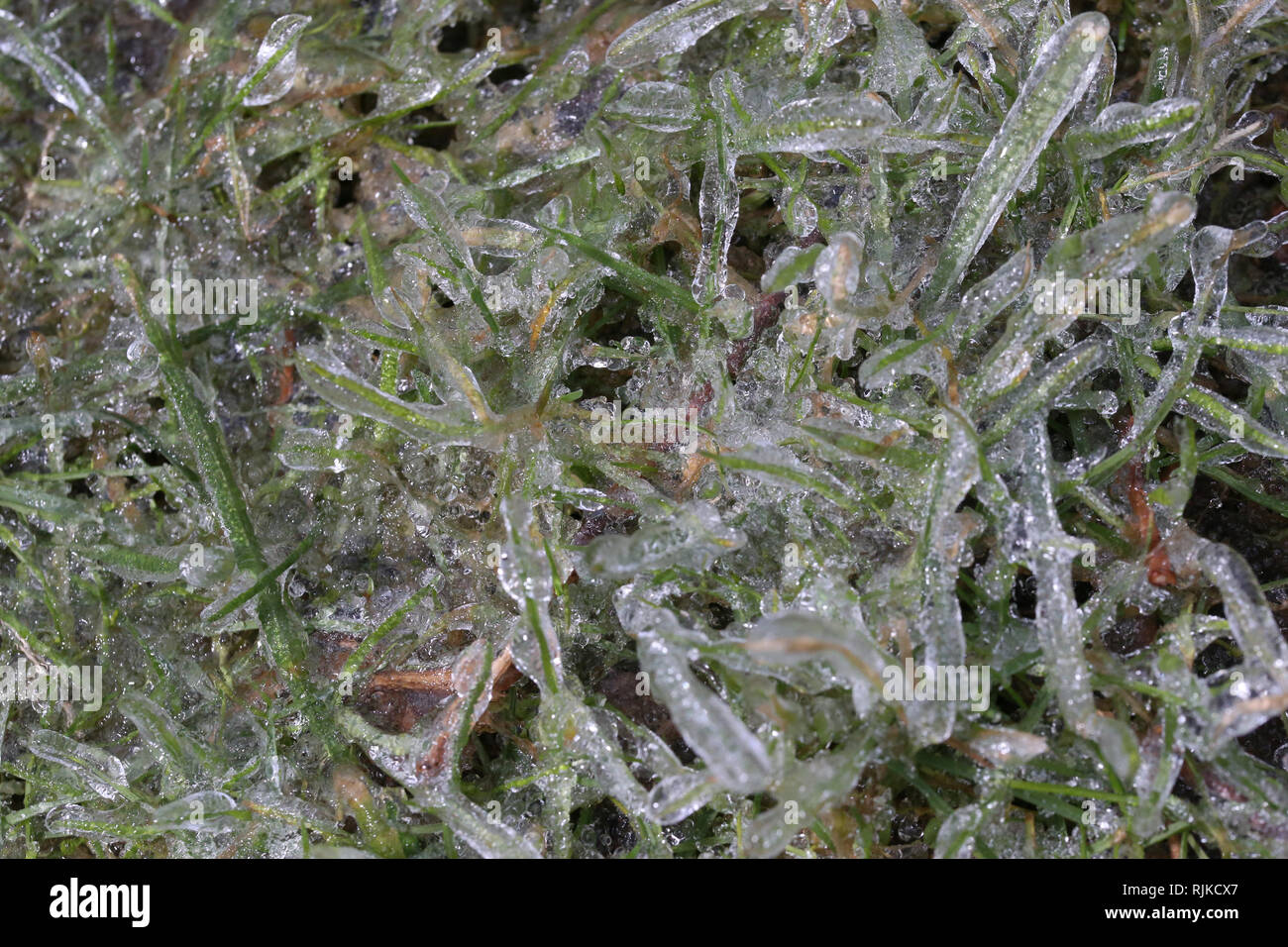 London, Ontario, Kanada. 6. Februar, 2019. Schulen wurden geschlossen und Verkehr wurde verzögert, da die Temperaturen von -5 und Regen im Südwesten von Ontario in Eisbahn und drehte sich um. Credit: Lukas Durda/Alamy leben Nachrichten Stockfoto