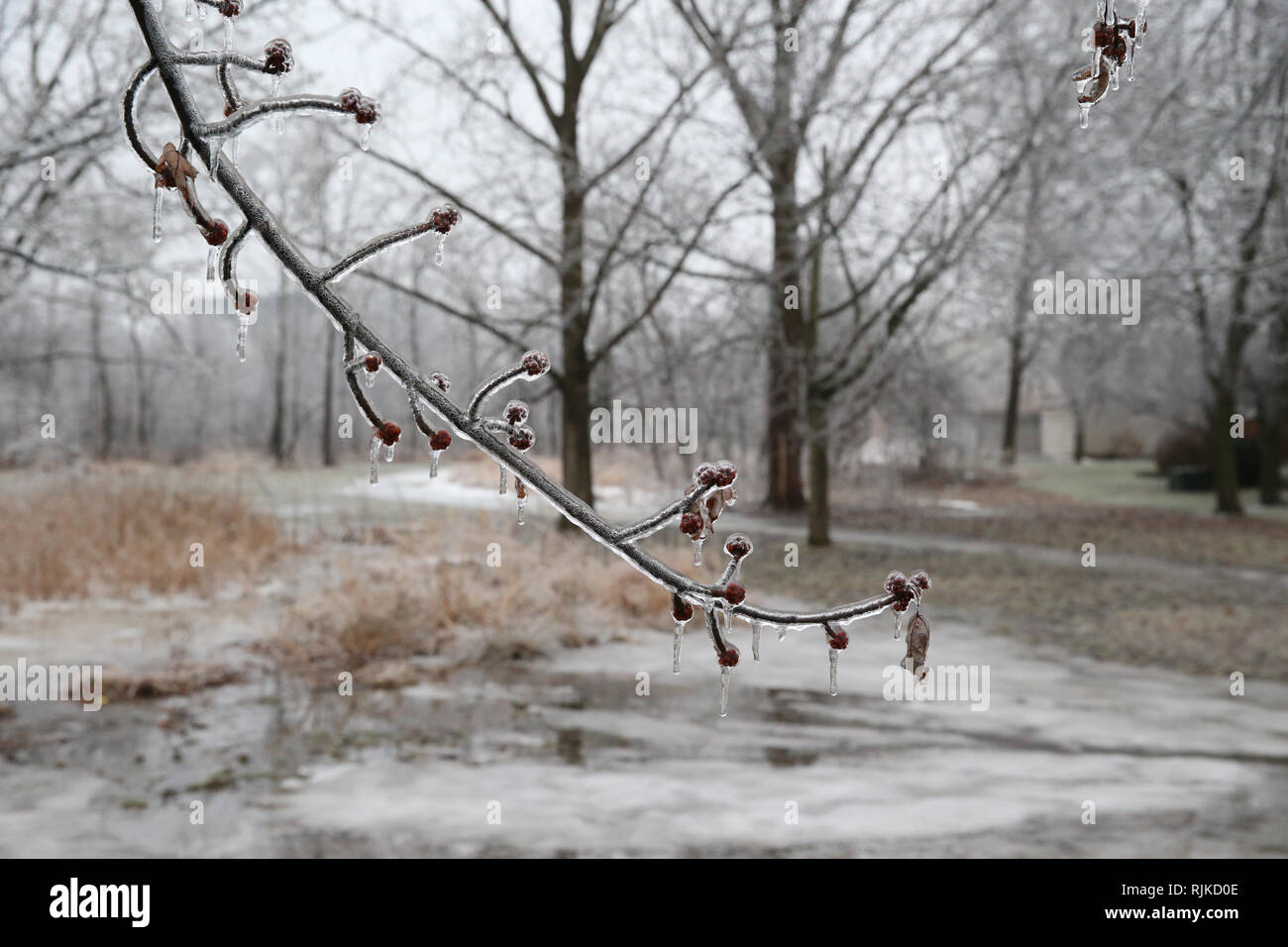 London, Ontario, Kanada. 6. Februar, 2019. Schulen wurden geschlossen und Verkehr wurde verzögert, da die Temperaturen von -5 und Regen im Südwesten von Ontario in Eisbahn und drehte sich um. Credit: Lukas Durda/Alamy leben Nachrichten Stockfoto