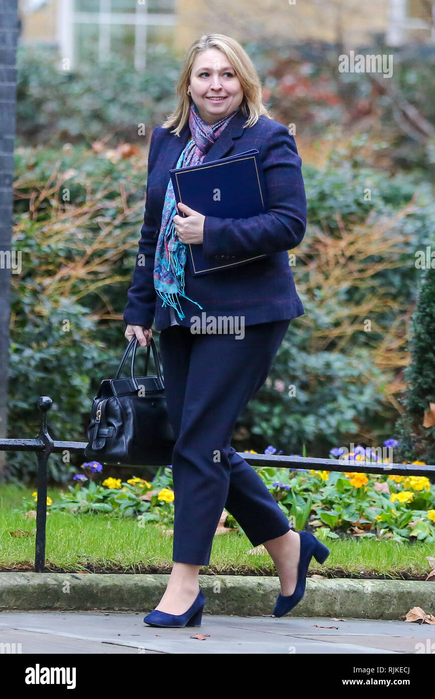 Karen Bradley - Staatssekretär für Nordirland bei Ihrer Ankunft an der Downing Street gesehen die wöchentliche Kabinettssitzung zu besuchen. Stockfoto