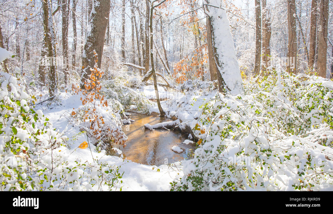 Ein winterlicher Szene mit ein Bach und ein Hauch von Farbe von baum laub an einem hellen, sonnigen Tag. Hohe Sättigung und hebt die Farben zu machen. Stockfoto