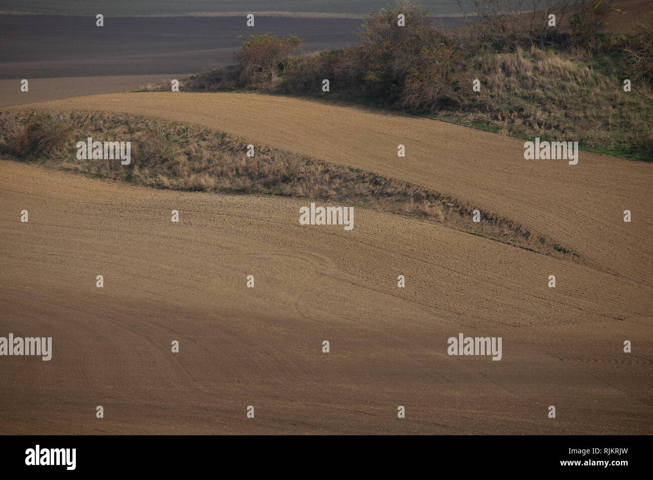 Herbst welliges Gebiet in Südmähren in einem Gebiet namens auch Mährische Toskana Stockfoto