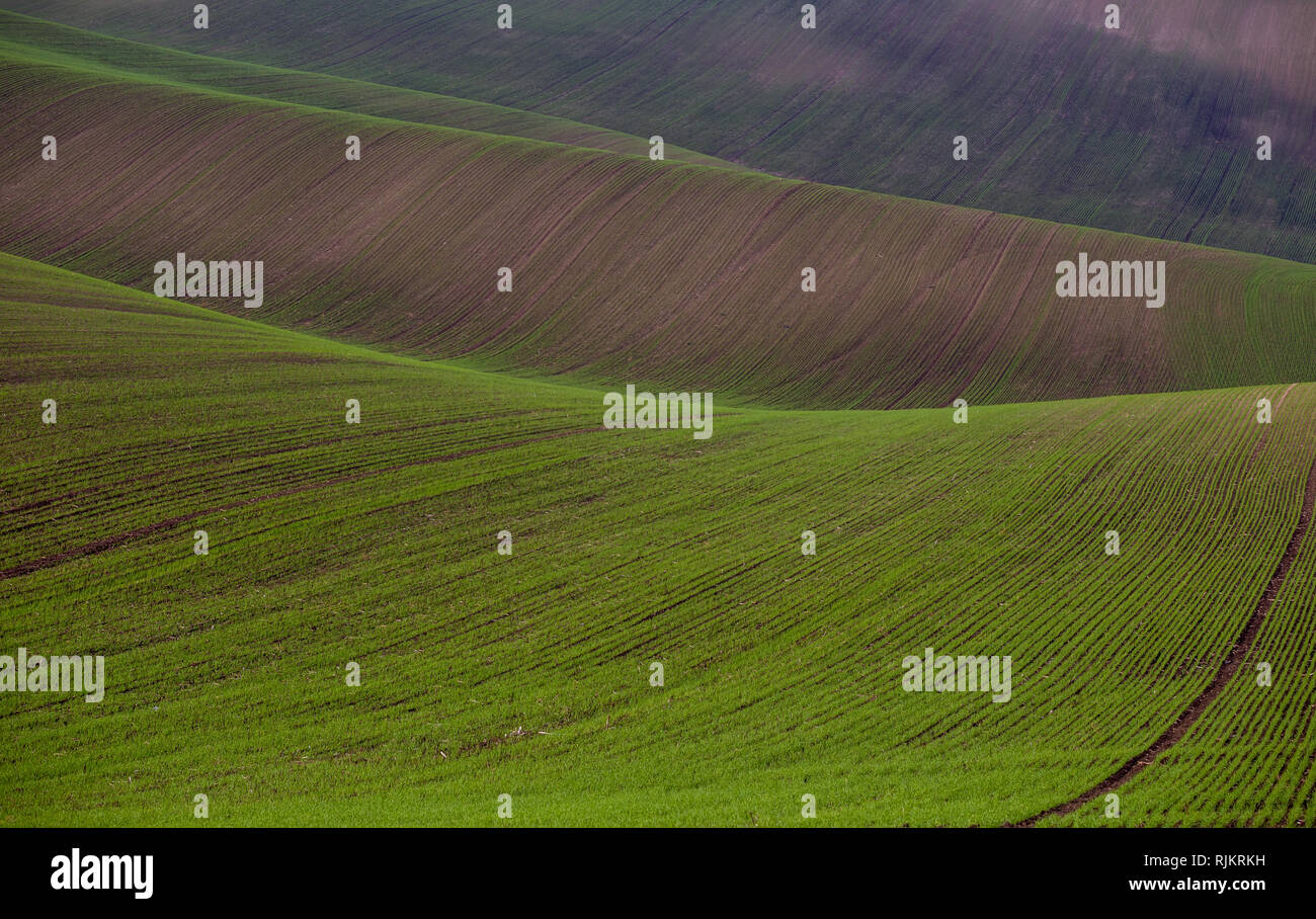 Herbst malerischen Hügellandschaft der Südmährischen Felder und Weinberge, die sogenannten Mährischen Toskana, Tschechische Republik Stockfoto