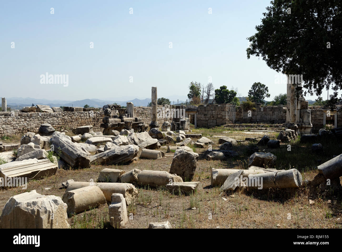 Ruinen des zweiten Jahrhunderts AD Markt Basilika, Magnesia am Mäander, Tekin, Ionia, Türkei. Das Gebäude verfügt über ein Kirchenschiff, Apsis und Gänge und becam Stockfoto