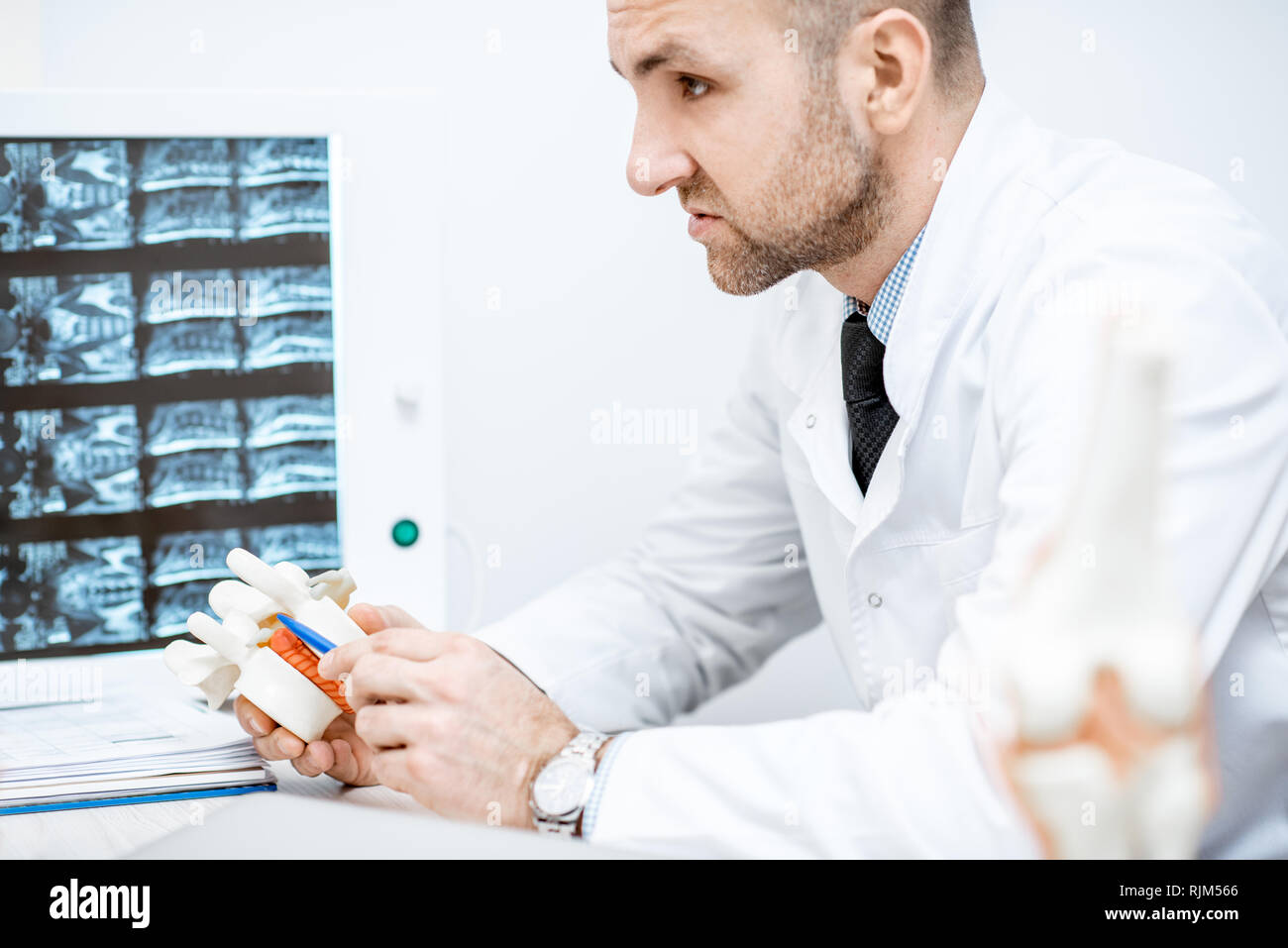 Therapeut Holding anatomische Modell der Wirbelkörper mit Bandscheiben Bandscheibenvorfall während der medizinische Beratung Stockfoto