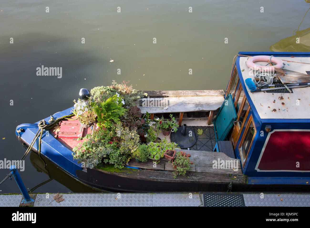 Pflanzen und Garten auf einem Hausboot Stockfoto