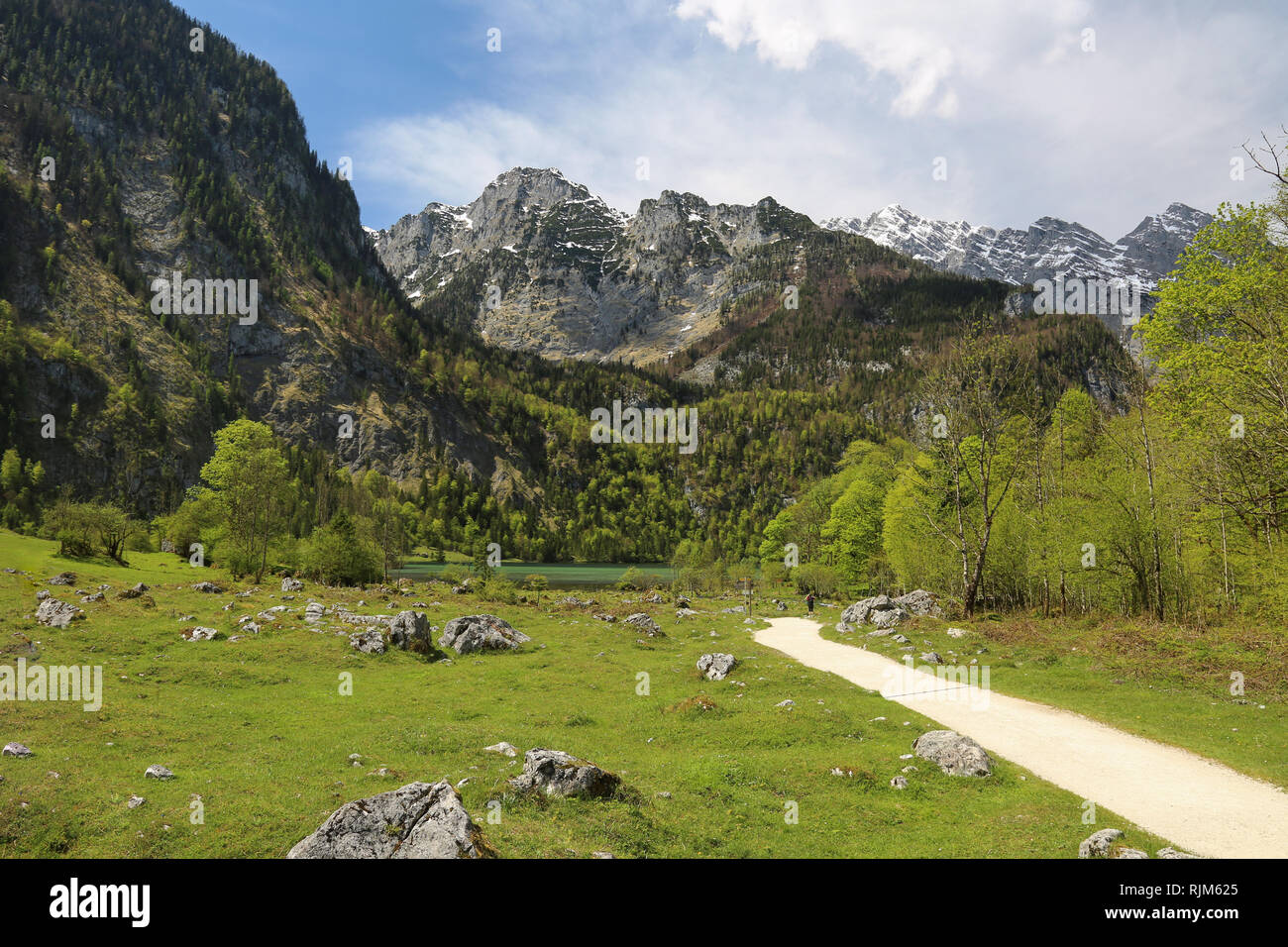 Zu Fuß weg vom Obersee zum Bootssteg Königssee im Berchtesgadener Land Stockfoto