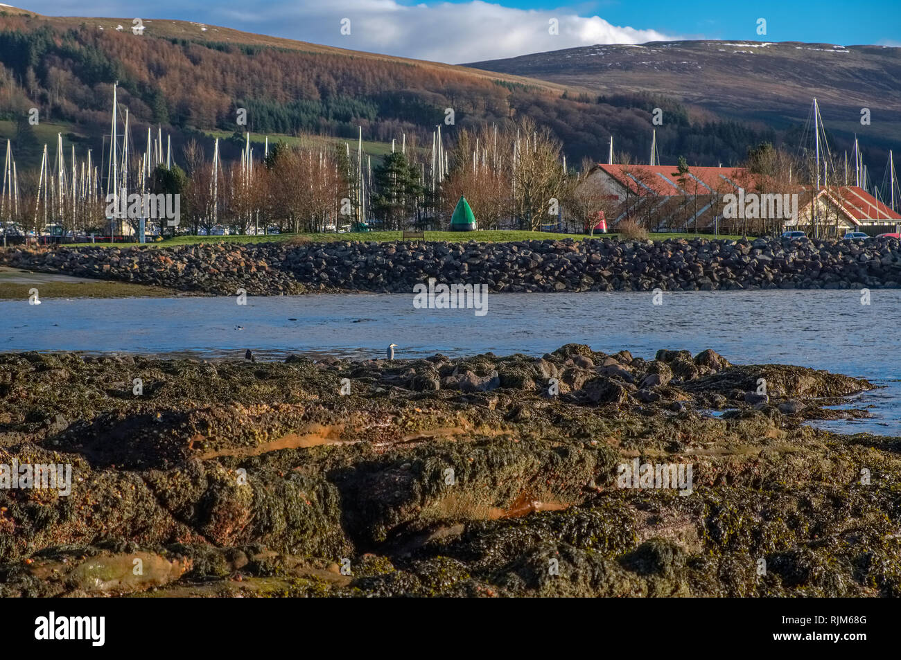 Largs Vorland in die Marina über eine kleine Flechte suchen abgedeckt Rocky Bay bei Ebbe. Stockfoto