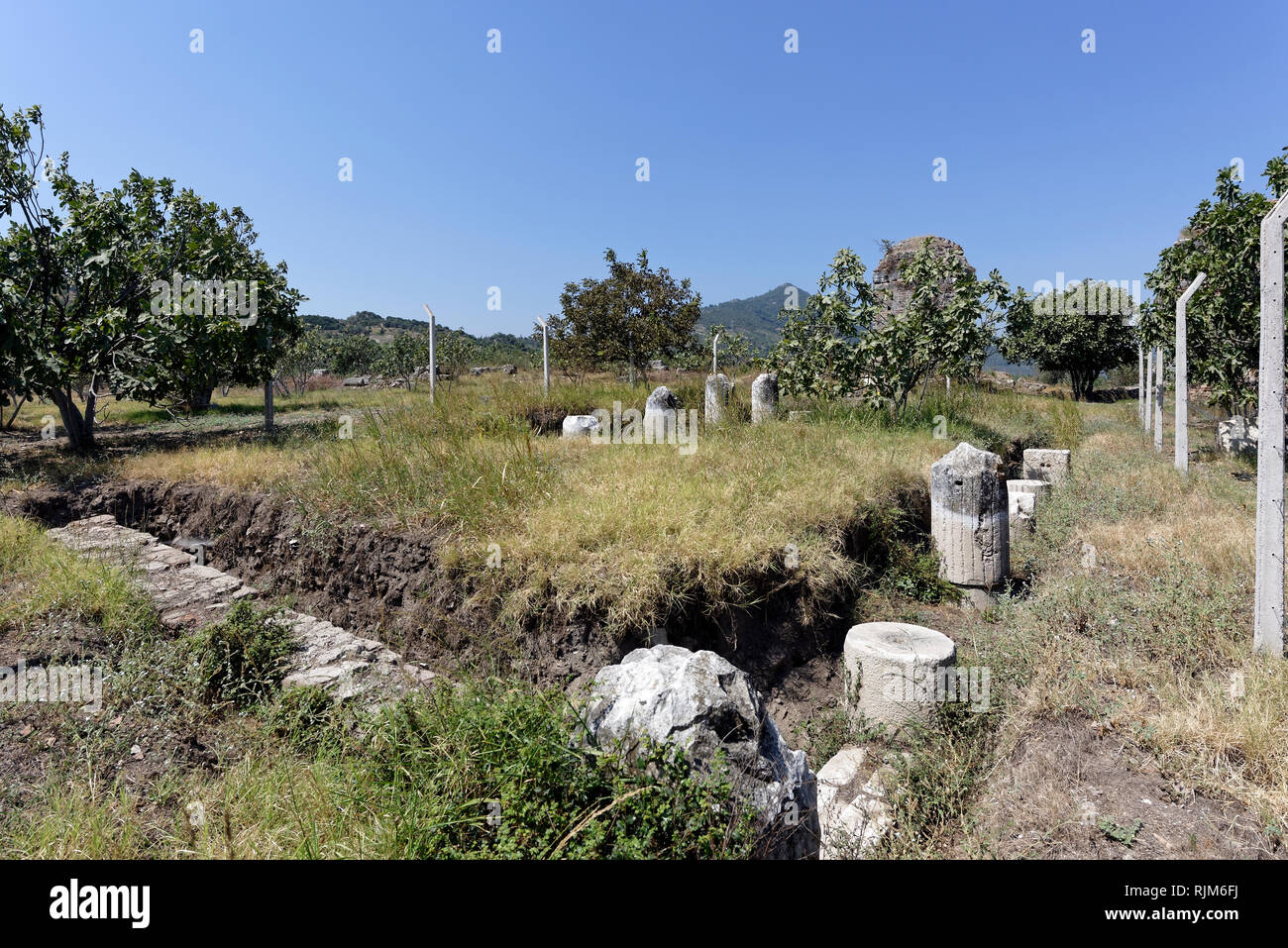 Ausgegrabenen Ruinen der Agora, Magnesia am Mäander, Tekin, Ionia, Türkei. Stockfoto