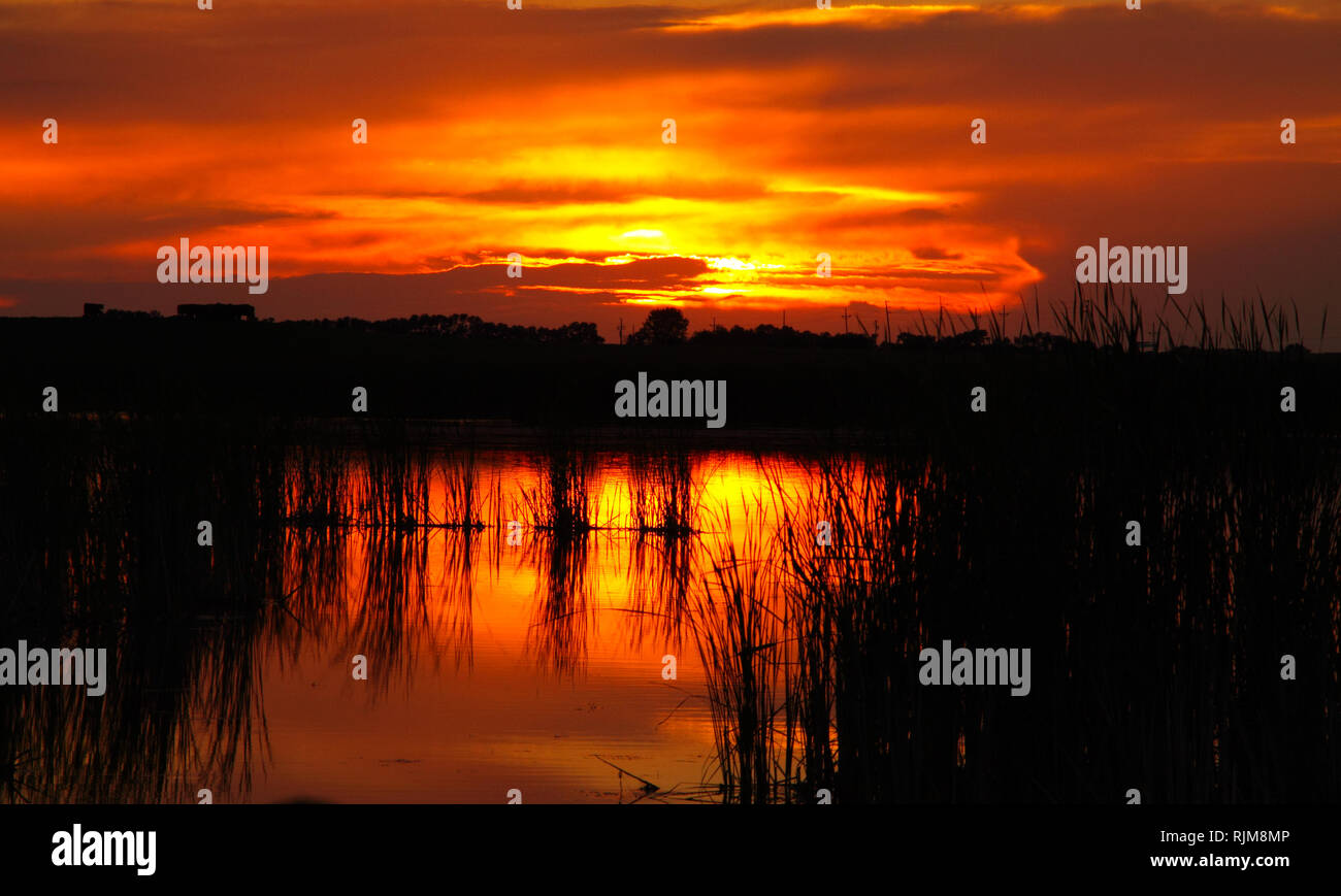 Eine feurige Sonnenaufgang über einem Sumpf in North Dakota. Stockfoto