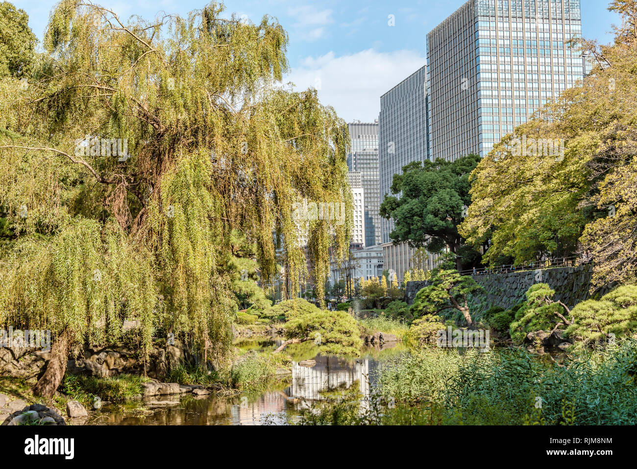 Hibiya Park (Hibiyakoen) in Chiyoda-ku im Herbst, Tokio, Japan Stockfoto