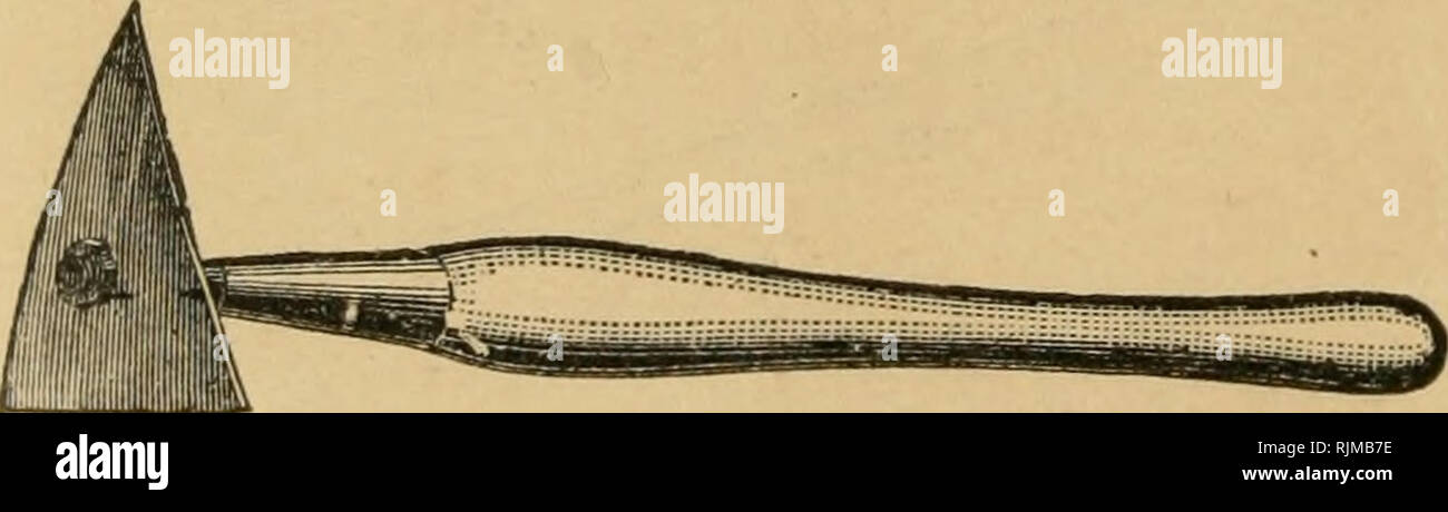 . Barry's Obstgarten. Obst - Kultur. [Aus dem alten Katalog]. Pfropfung MEISSEL.. Abb. 184.-TREE-abstreifer von mehreren kleineren. Bitte beachten Sie, dass diese Bilder sind von der gescannten Seite Bilder, die digital für die Lesbarkeit verbessert haben mögen - Färbung und Aussehen dieser Abbildungen können nicht perfekt dem Original ähneln. extrahiert. Barry, Patrick, 1816-1890. [Aus dem alten Katalog]. New York, Orange Judd Unternehmen Stockfoto