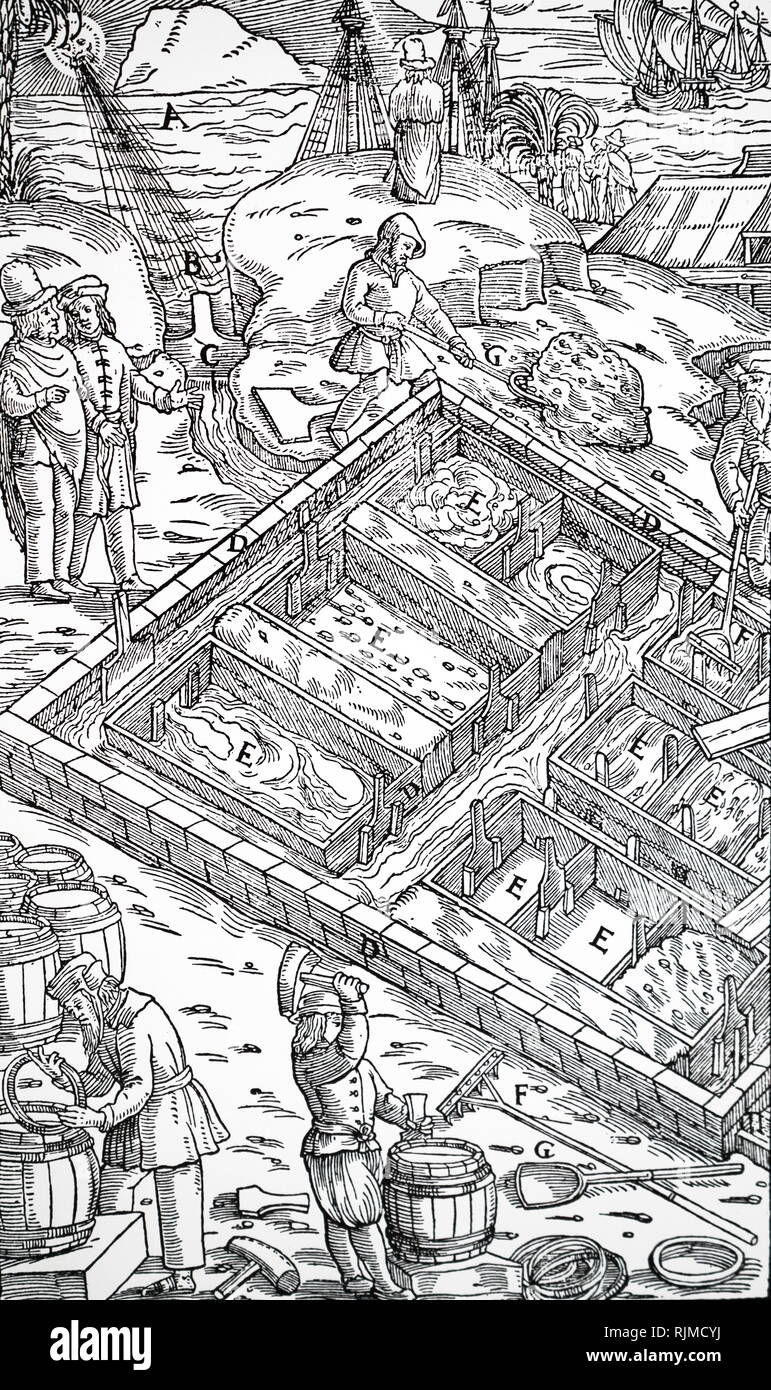Abbildung: Herstellung von Salz durch Verdunstung von Meerwasser in Salinen. Von Agricola "De re Metallica", Basel, 1556 Stockfoto