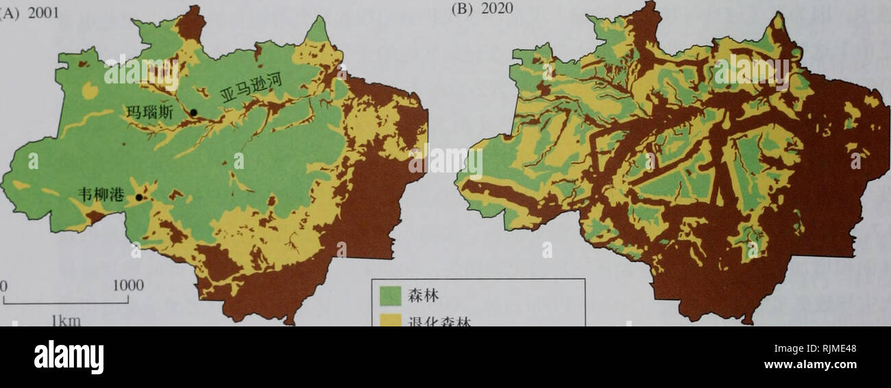 . Bao Hu sheng wu Xue. Botanik. ºçae Å¾9.7aeå¾å±ç¤ ¯ ¥ å·'è¿ çäºé©¬° éae²³çå ãï¼A&gt; 2001 å¹'å·'è ¥¿ äºé©¬é å°° £® Aeéä¼åçèå åºçaeåºãéååºåae åºãae £® Aeéä¼ä" è¦¿ae² Ae²³å åçå ¨°åé åºåä'¨å ± ä½åºãï¼B) Å½å ·'è ¥¿ å®¶ aeå è®¡åå ¨ 2020 å¹'ä¿®å" ºçae°å¬è · ¯ ç³"ç" ç¦" Ï¼è · · ¯ ¿ éè Å¾è çåå § ae £® aeé¢ç§¯å °ae ¥ å § åå aeae°ãå ¦ ¿ åºå® ae½ çä å¼ºç¡¬¿ae¤ ¯ aeªae½ï¼å È½å¨ä' å® ç¨ åº¦ä'Éä½ae aeéååae £ £®® aeéä¼ï¼å¼èª Laurance et al. 2001) (A) 2001. Ae £® ae éåae £® ae ä' ¥ £® aeåèå ééåçae ç°å-åºå çä¿ ae¤°±è¦è±è'¹å ¤ § ¦ 20 äº çº¿ ç¾å Ï¼å ·® ä' å¤ ae¯ç® Åå¼éç 3 åï¼Bnmeretal. 2004) ãå°½ ç®¡230 ¿ Ç¾å äº ae ¯ ¤ § çae Å¾å°å-Ï¼ä½å ¯ ¯ ¹Äºae å¹'Ç¾å½ae¿åº 2 450 ¿äº Ç¾å åä'è¡ ¥ è''aeè Ç¾å½åè" ï¼Håå ¹å¼ ae ¯ ¤ § çº¦1000 ¿äº Ç¾å Ï¼ae ¥ è ¯'¯ä'ªå Ï¼åªae°ae °ç® à 9.3.6 åºéç Stockfoto
