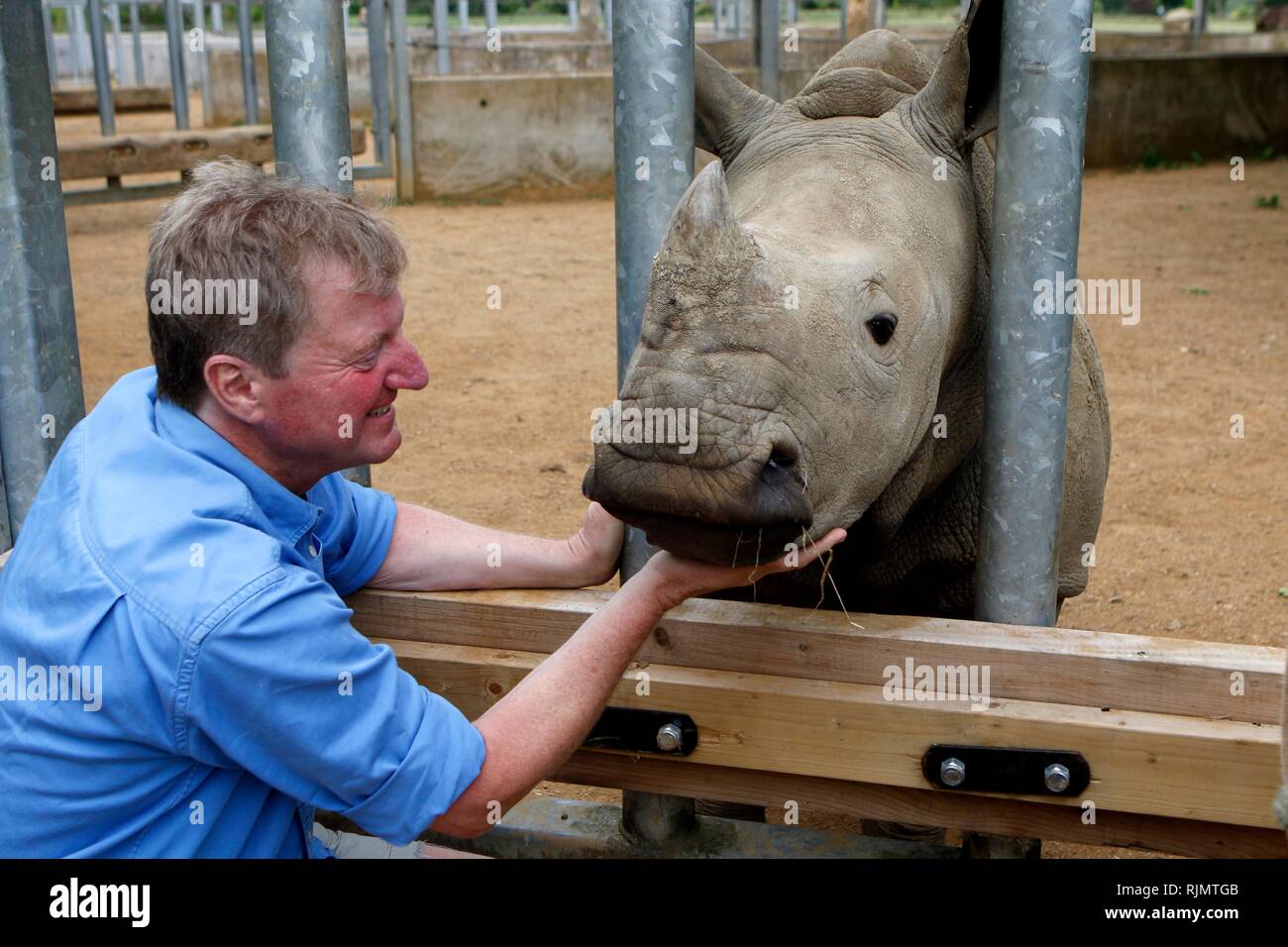 Reggie Heyworth, Geschäftsführer der Cotswold Wildlife Park mit Tinkerbell, die jungen Rhino', ein Liebling von seiner im Park von Burford, Oxfordh Stockfoto