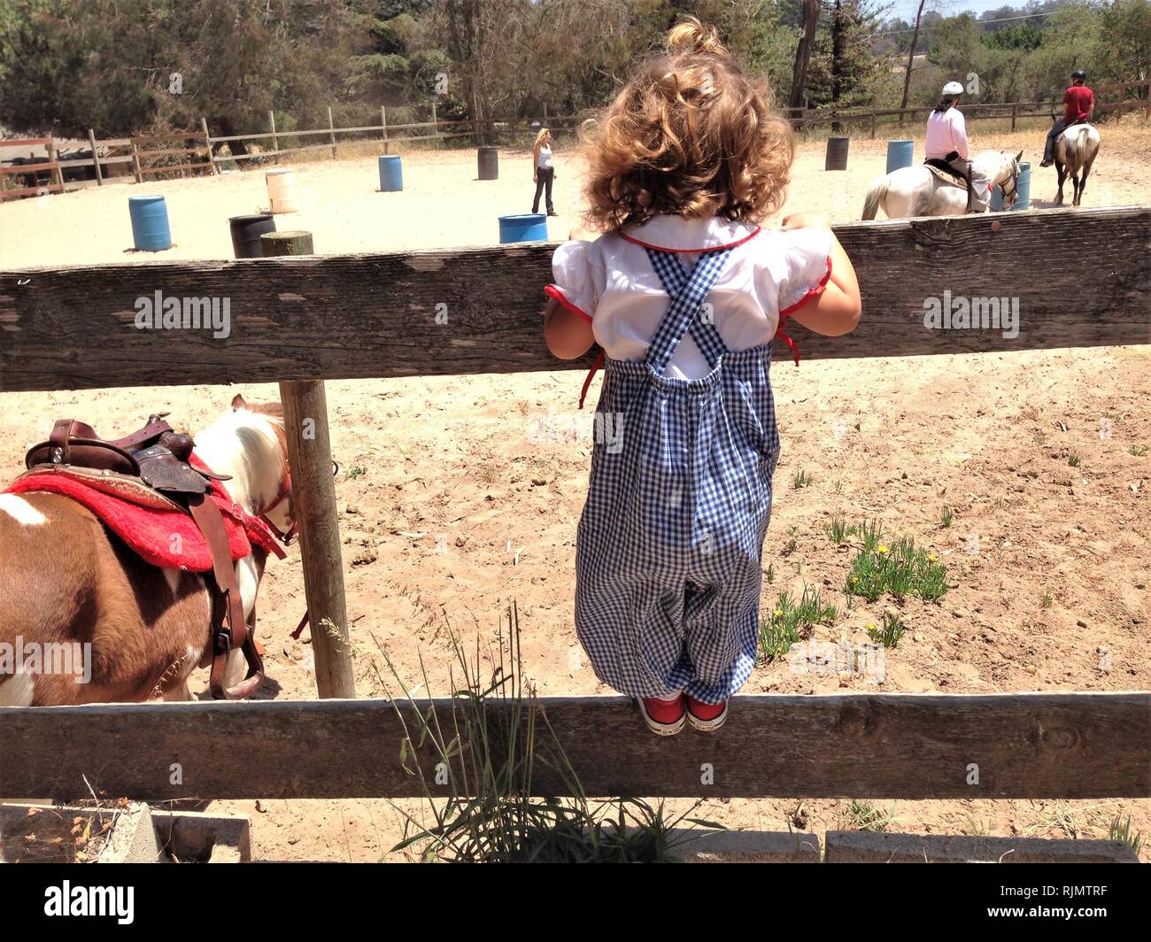 Kind Mädchen Junge wollen Reiten auf Zaun zu gehen Stockfoto