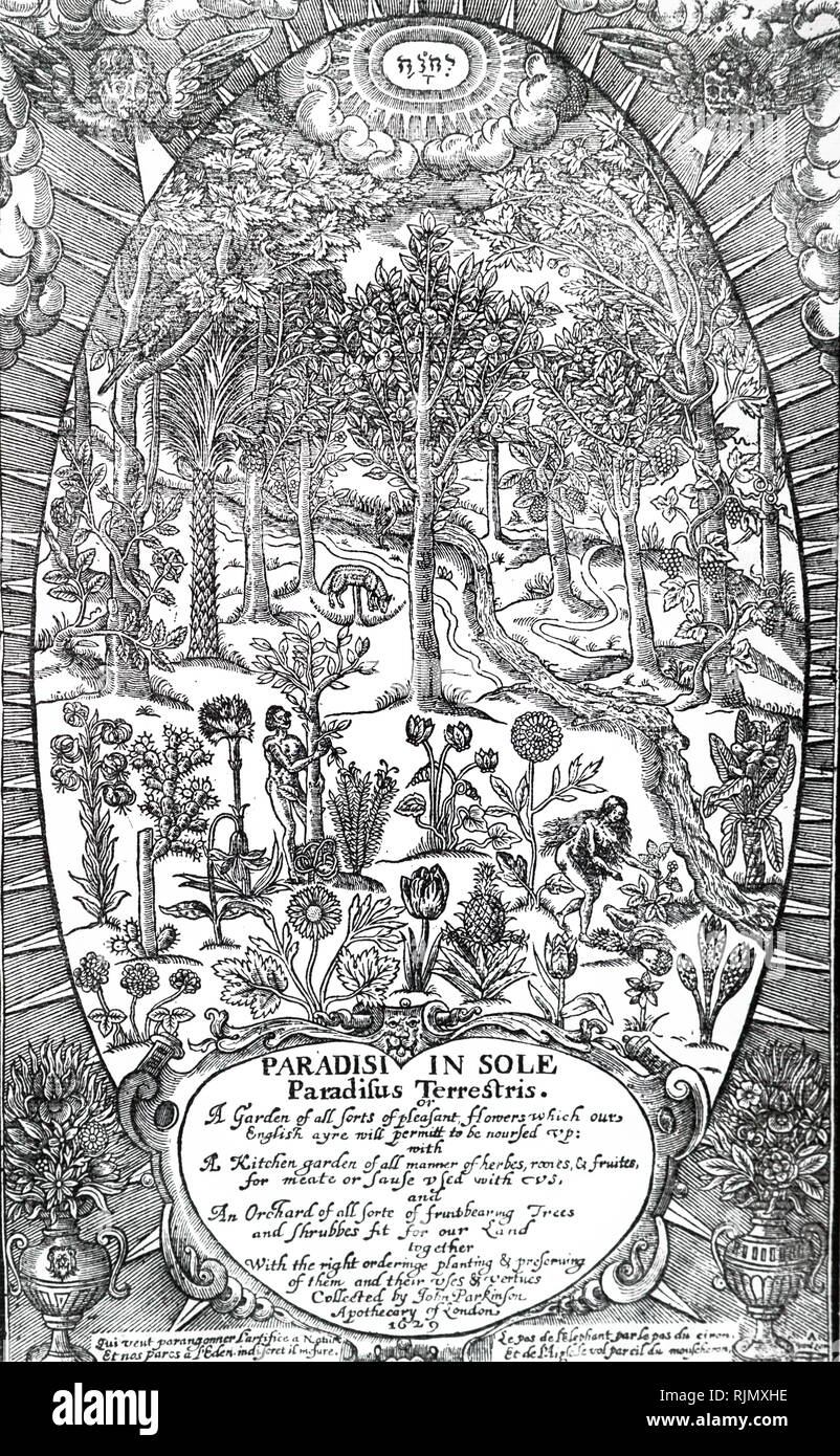 Eine Gravur, die Titelseite von John Parkinson, die ole Paradisus Terrestris', London, 1629; Darstellung von Adam und Eva im Garten Eden sammeln Früchte Stockfoto