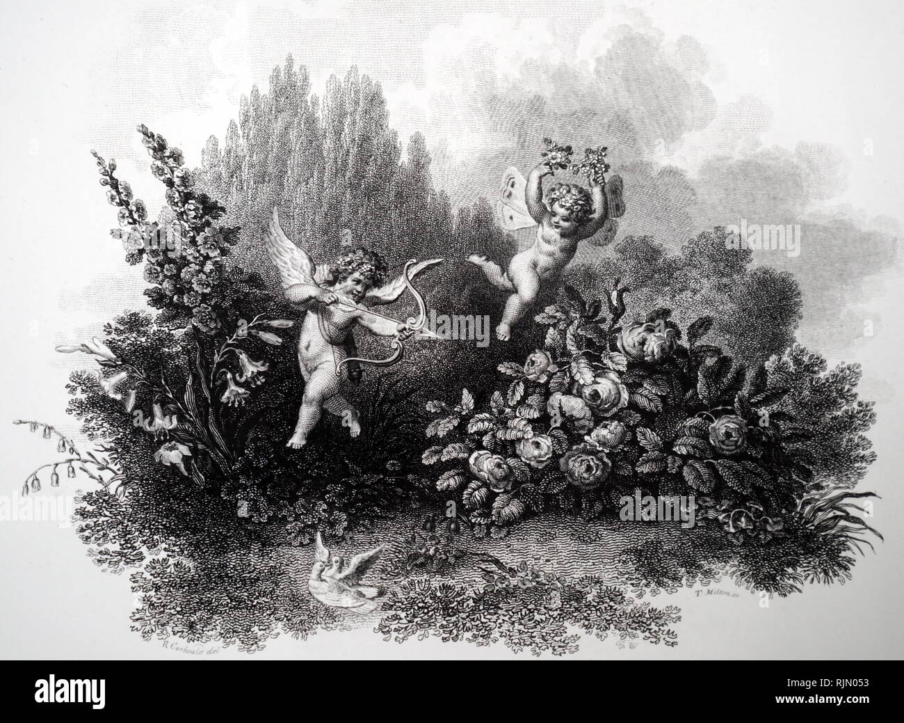 Erasmus Darwin, (1731-1802), Naturforscher und Botaniker. Abbildung seines "Die liebt der Pflanzen" ein, die von einem Druckauftrag von Thornton 1803 veröffentlicht. Stockfoto