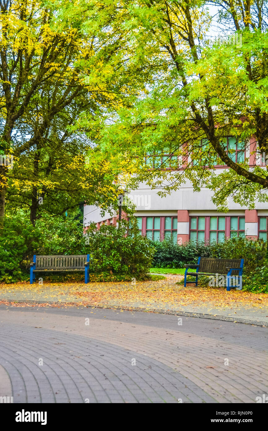 Gepflasterte Einfahrt und zwei Bänken unter den Bäumen auf Herbst in Kanada Stockfoto