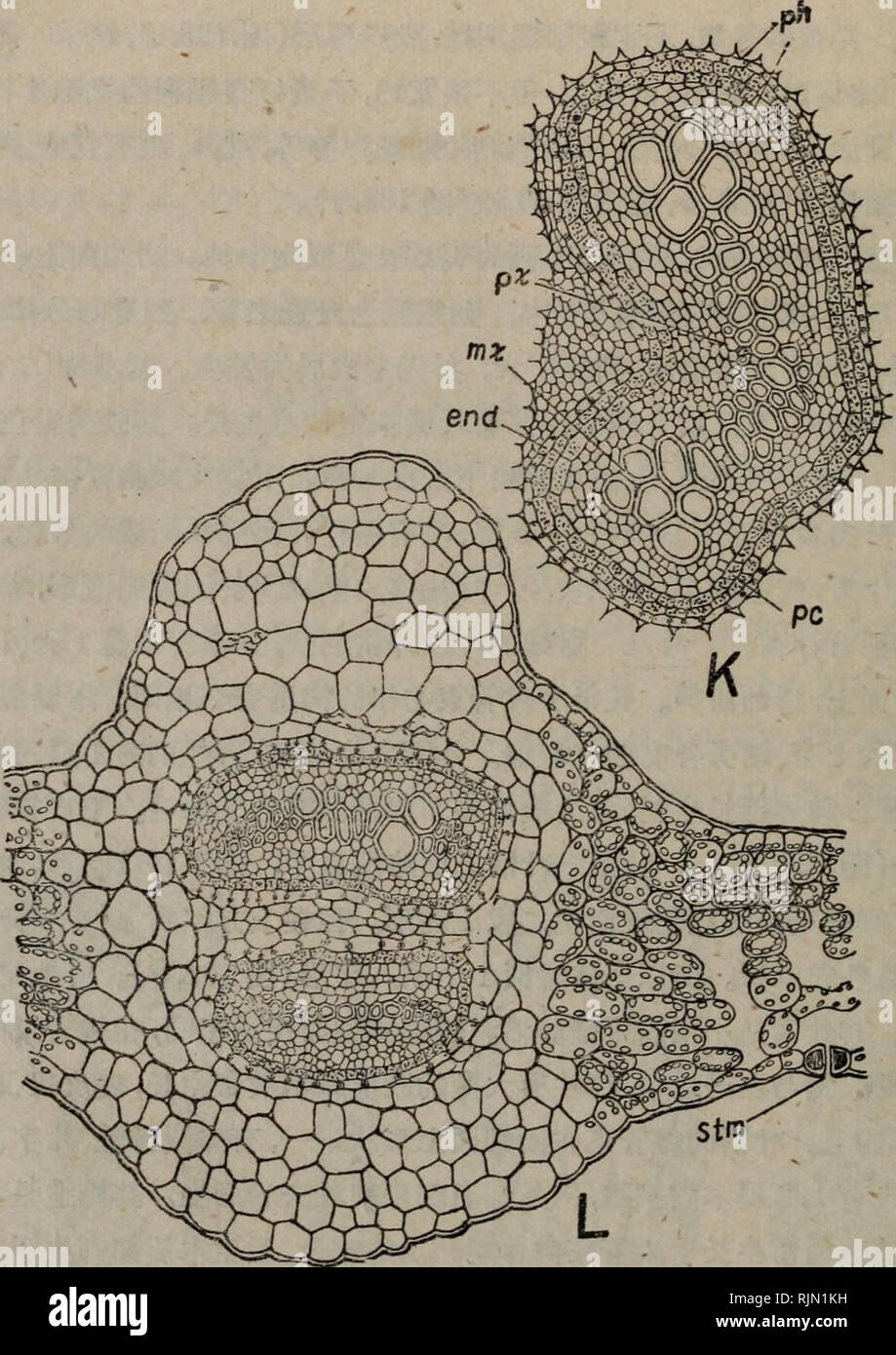 Tnx Stockfotos Und Bilder Kaufen Alamy