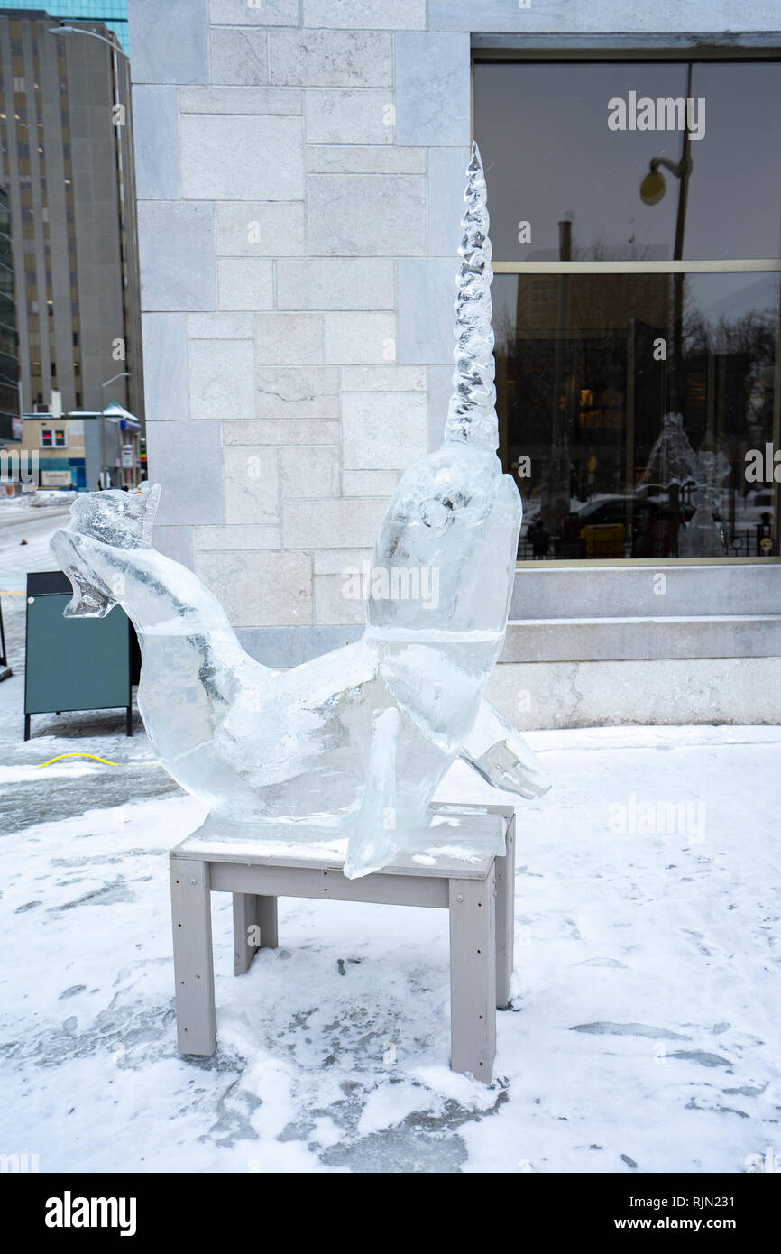Eis Skulptur eines Narwals für die 2019 Winterlude Festival in Ottawa, Kanada (Bild geändert Zeichen zu löschen). Stockfoto