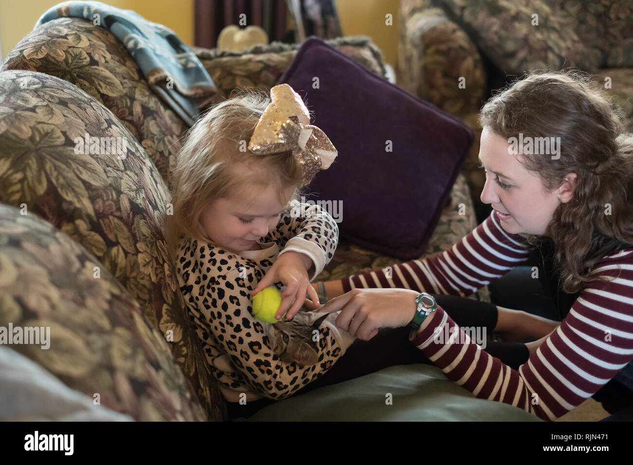 Ein 3 Jahre alter Kaukasische Mädchen Knuddel und spielt mit einem Kätzchen und ein Ball während einer erwachsenen Frau auf aussieht. Stockfoto