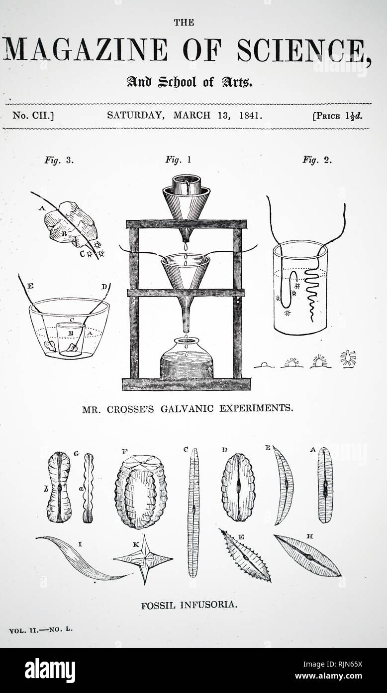 Abbildung: Elektrische Andrew Crosse Experimente, in denen er beobachtete, was er dachte, waren Insekten (bot. r); spontan erzeugt. 1841 Stockfoto