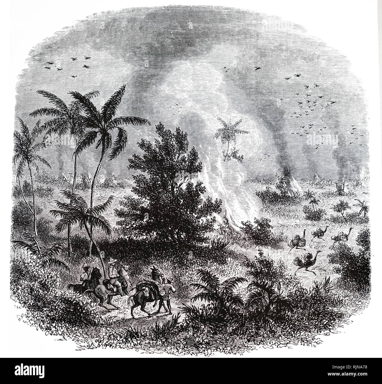 Eine Gravur, ein Feuer im Süden brasilianischen Camps. Vom 19. Jahrhundert Stockfoto