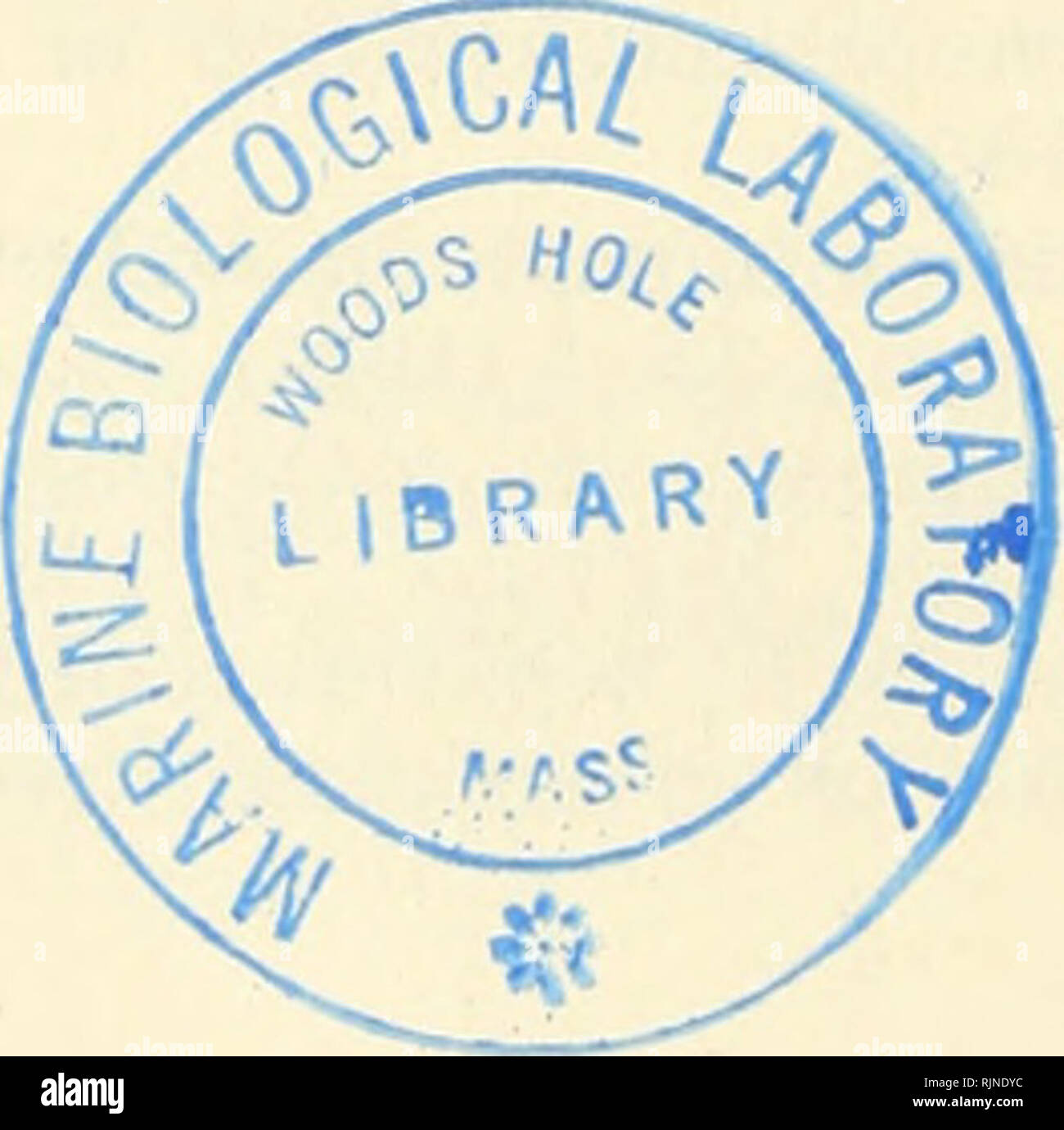 . Bakterielle Photosynthese. Bakterien -- Physiologie; Photosynthese. 194 STOFFWECHSEL UND PHYSIOLOGIE 14. Bischof, N.I., die reaktivität eines natürlich vorkommenden Chinon (Q-255) in photochemische Reaktionen von isolierten Chloroplasten. Proc. Natl. Acad. Sci. Us, 45, 1696 (1959). 15. Arnon, D.I., und Horton, A.A., Ort der Handlung von plastoquinone in der Elek-tron Transportkette der Photosynthese. Acta Chem. Scand. 17., S 135 (1963). 16. Muller, F.M., auf den Stoffwechsel der purpurnen Schwefelbakterien in organischen Medien. Arc/z. Mikrobiol., 4, 131 (1933). 17. Losada, M., Nozaki, M., und Arnon, D.I., Phot Stockfoto