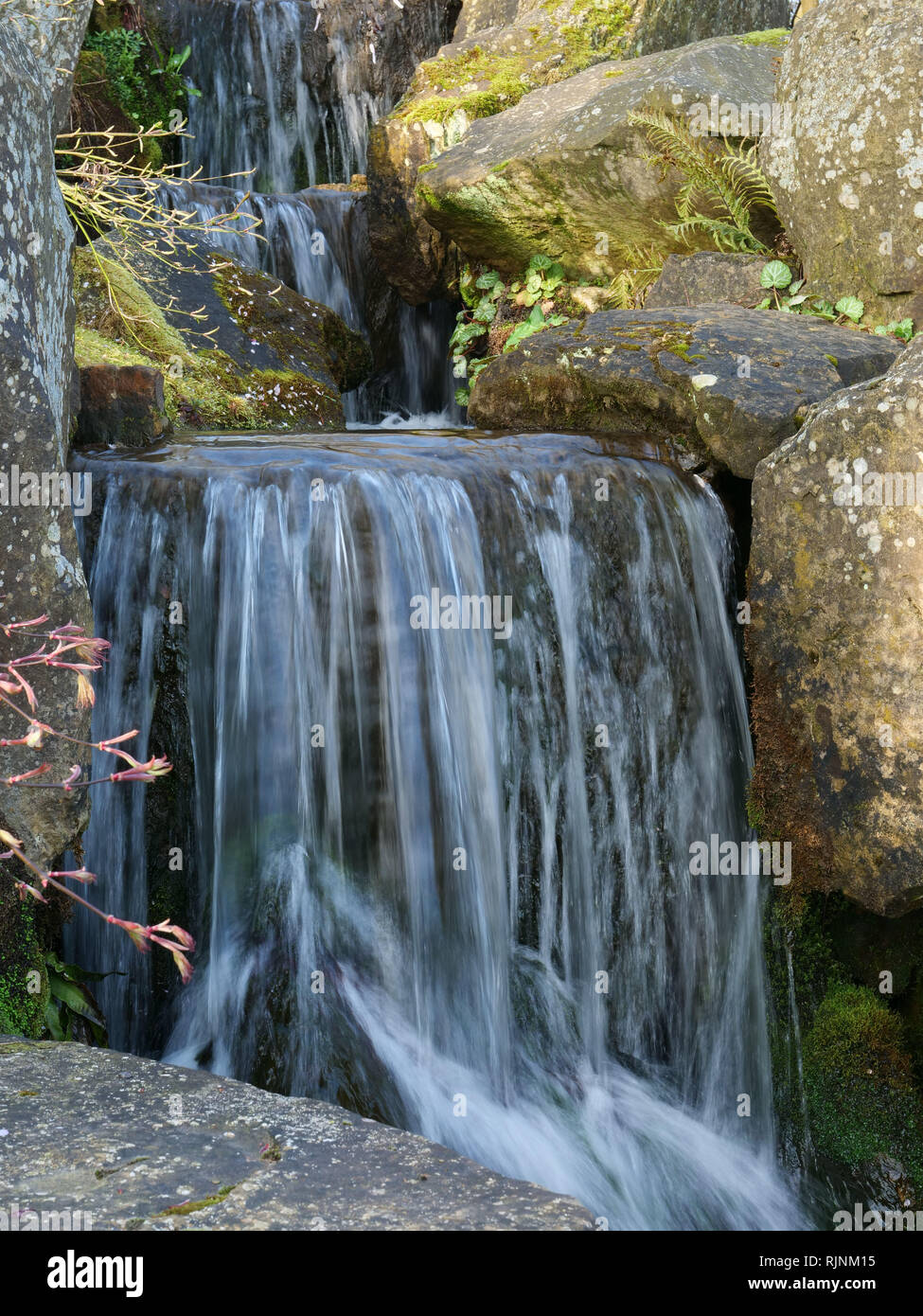 Wasserfalle In Einem Kleinen Bach Im Garten Machen Das Wasser