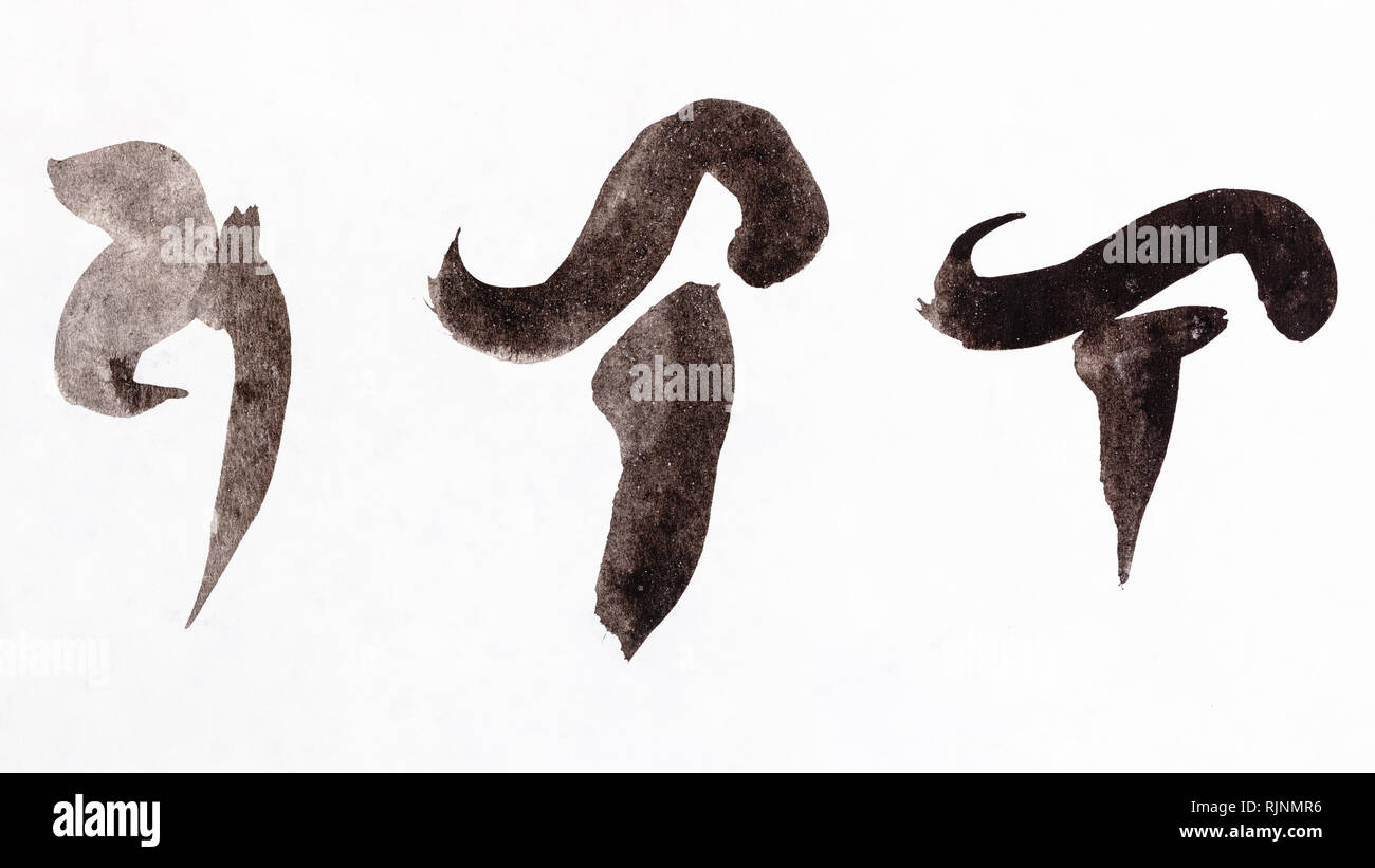 Ausbildung Zeichnung in Sumi-e (suibokuga) Stil - stilisierte Bild von Pilzen handbemalt mit schwarzen Aquarelle auf weißem Papier Stockfoto