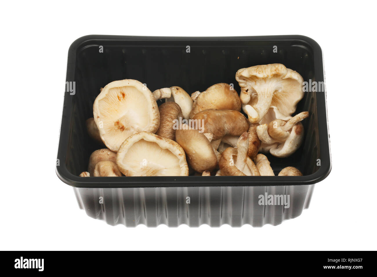 Shitake Pilze in einer Kunststoff Karton gegen Weiße isoliert Stockfoto