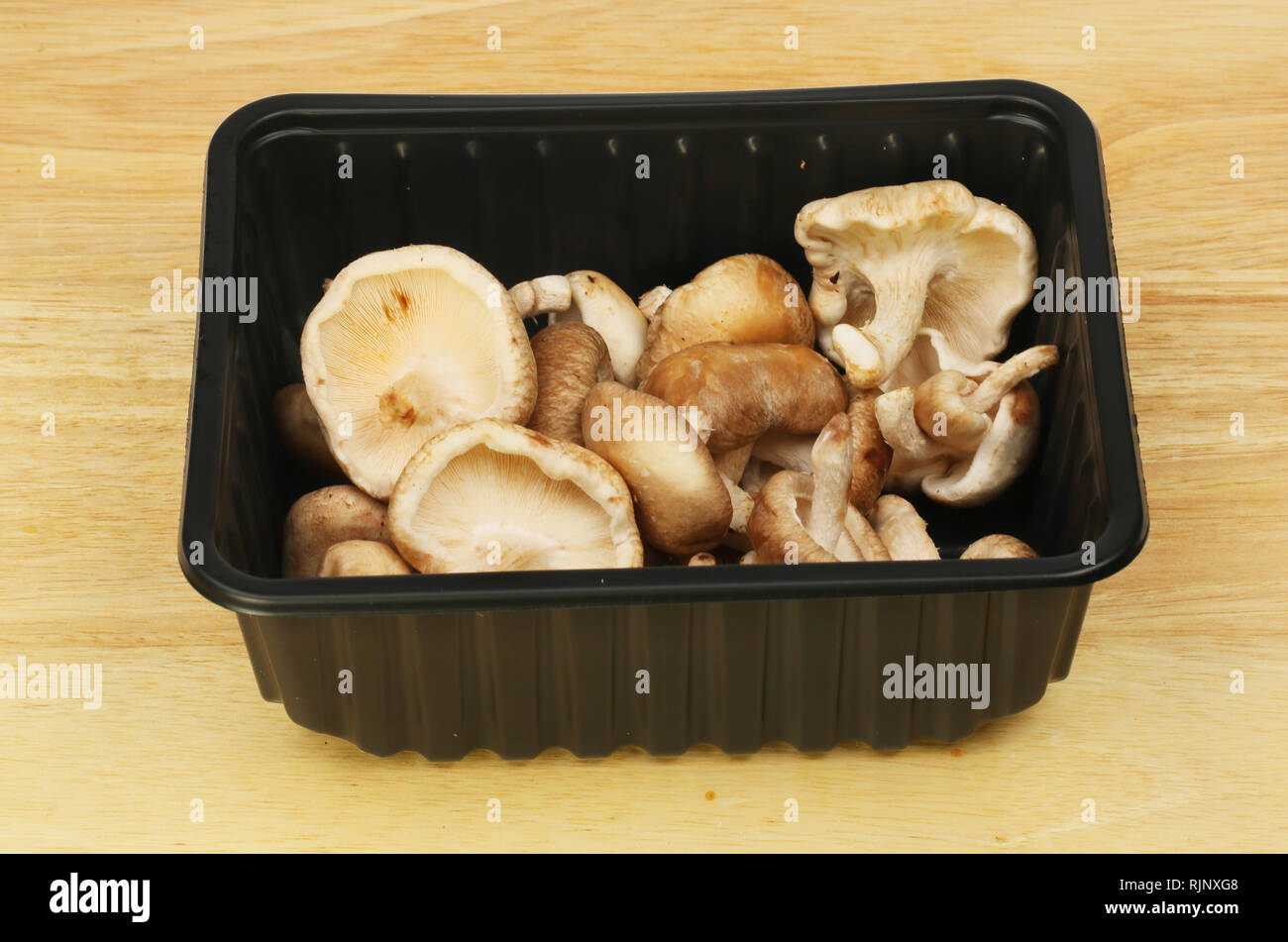 Shitake Pilze in einem Karton auf Holz Arbeitsplatte Stockfoto