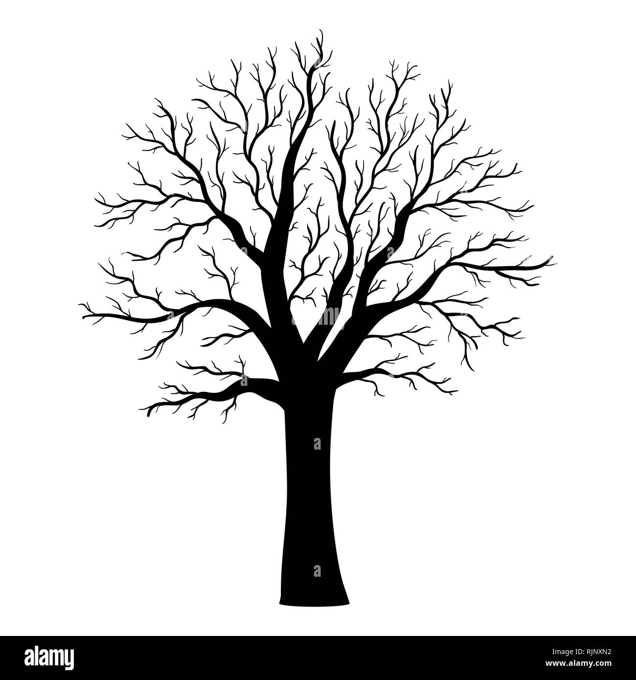 Vektor Baum Silhouette Stock Vektorgrafik Alamy