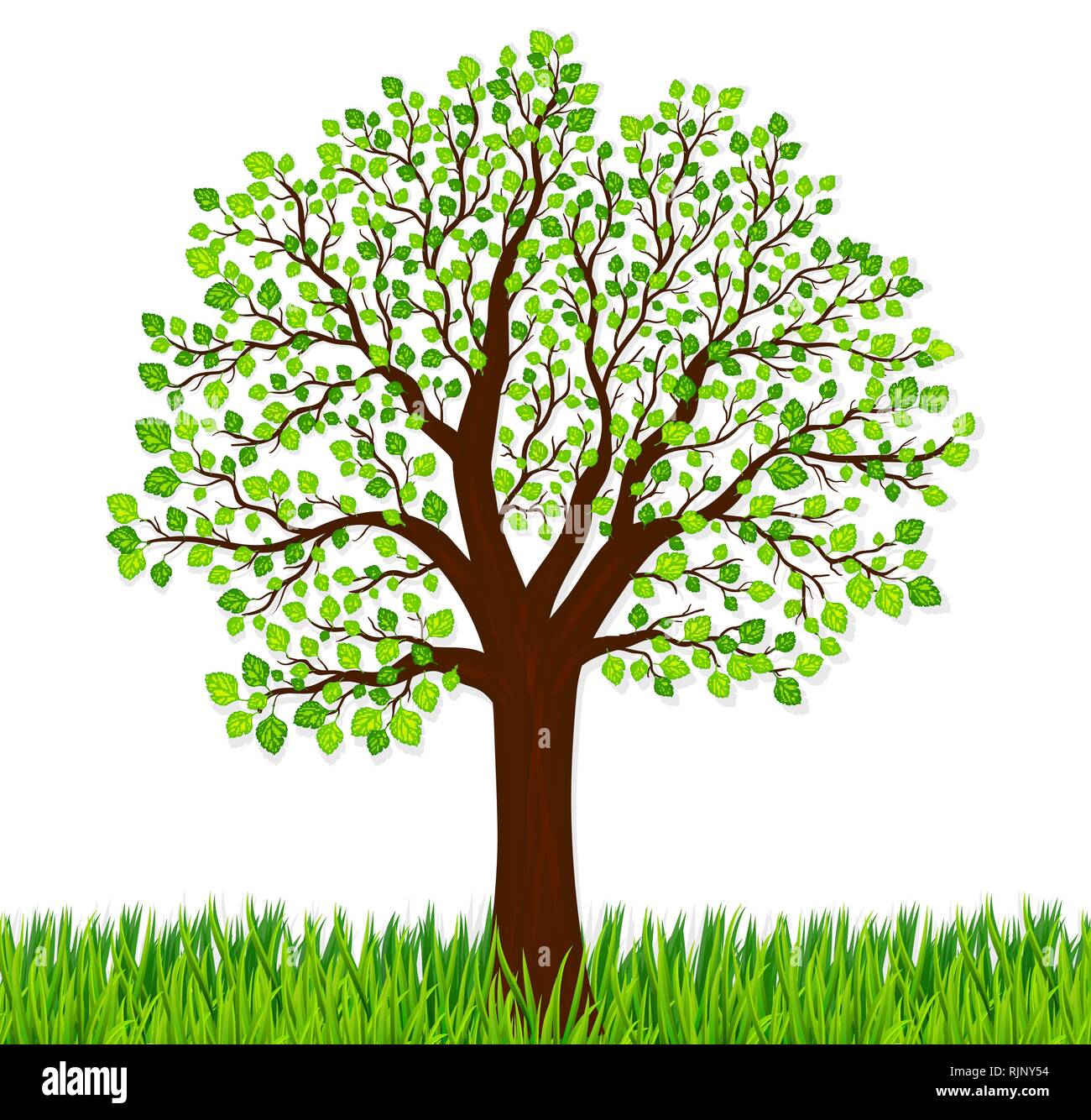 Natur Hintergrund Mit Grunem Gras Und Baum Vektor Stock Vektorgrafik Alamy