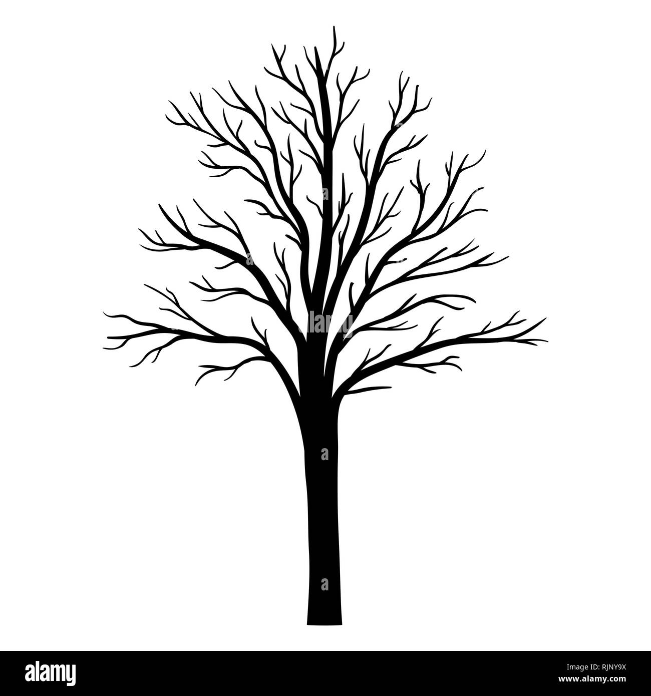 Vektor Baum Silhouette Stock Vektorgrafik Alamy